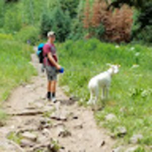 Meet your Posher, Derek